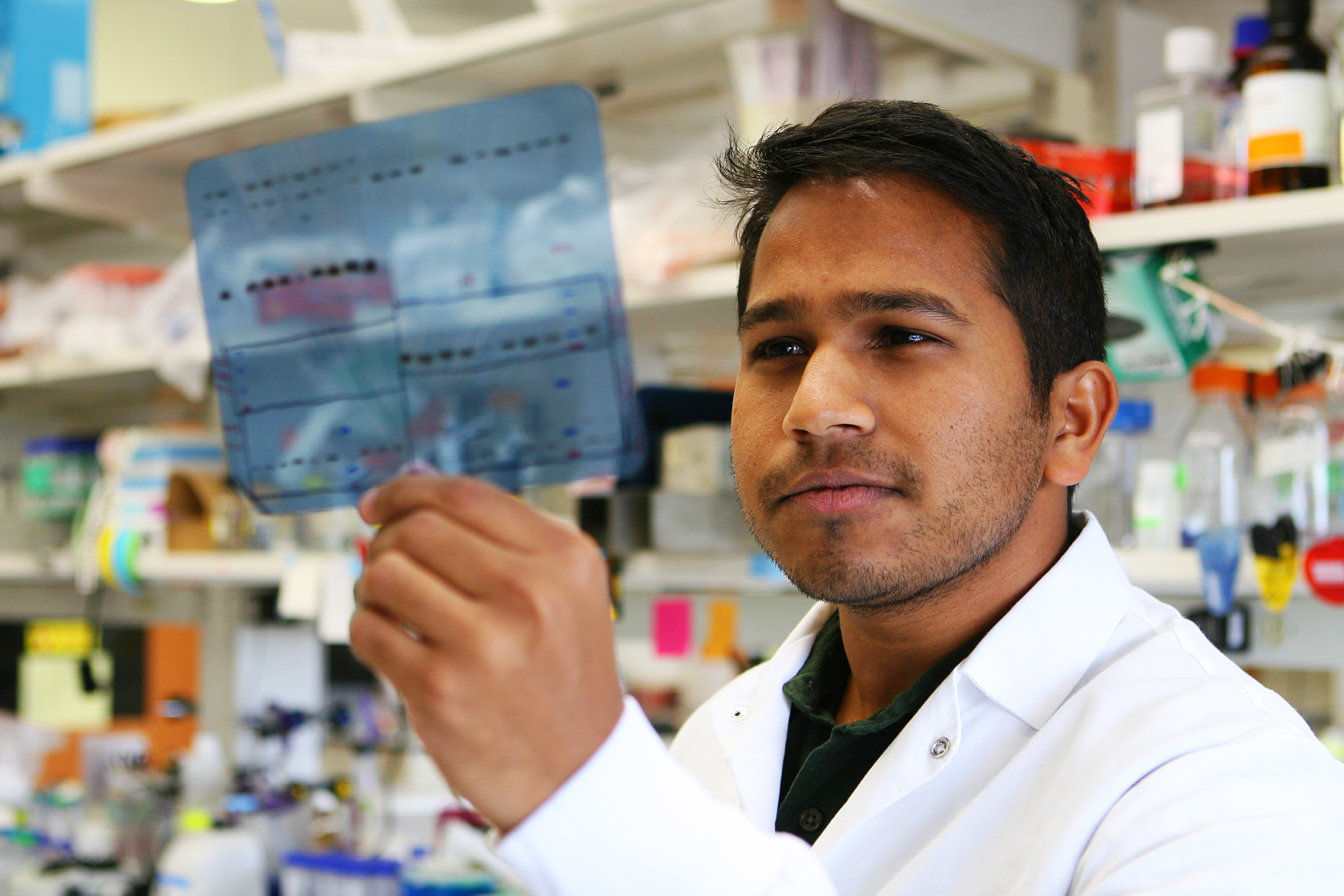 Scientist holding up a picture