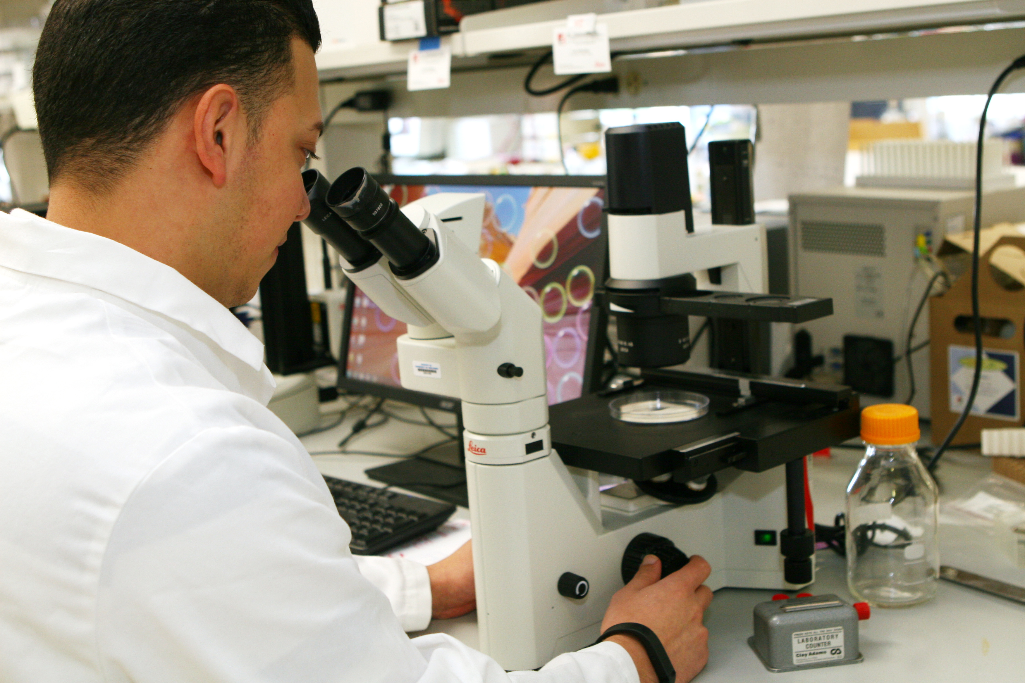 Scientist looking at a microscope