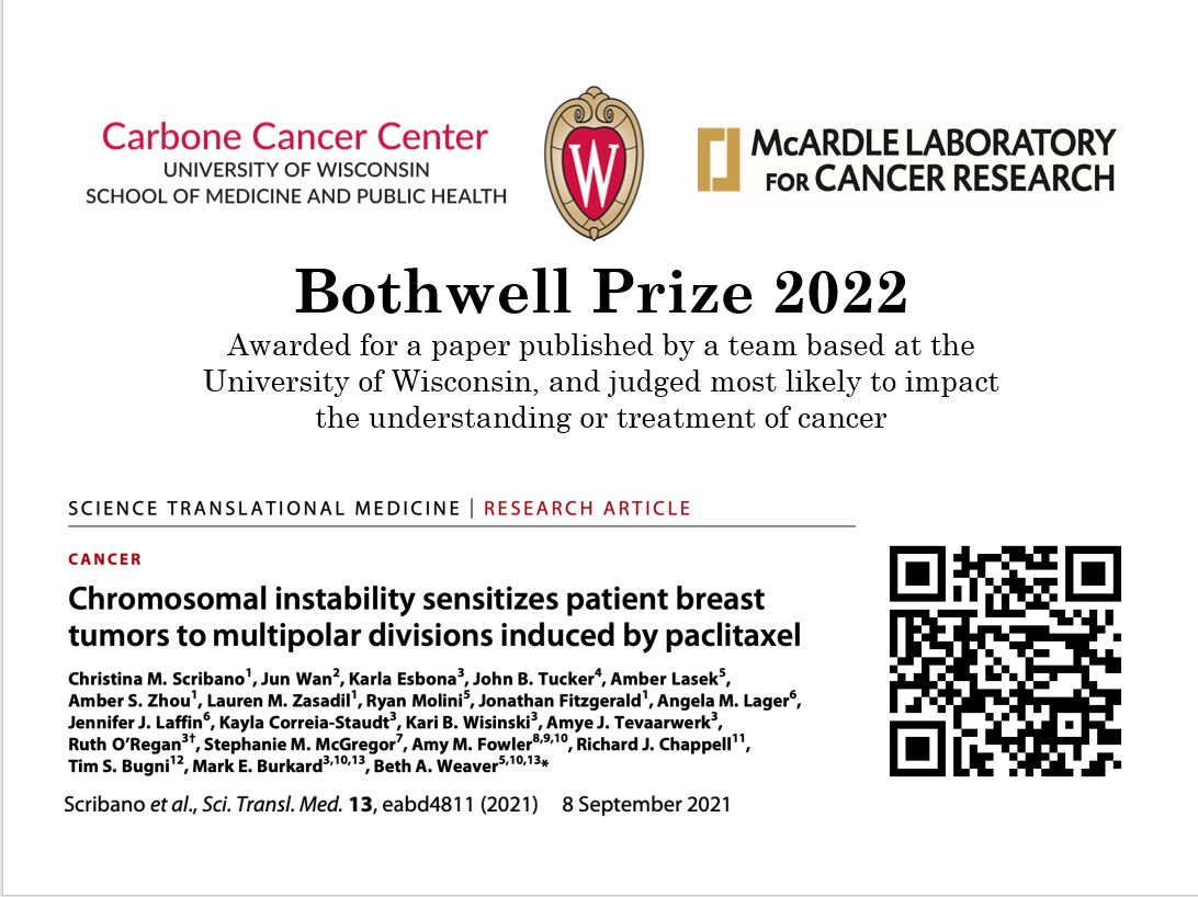 Image description: A white award slide featuring the logos for the University of Wisconsin Carbone Cancer Center, the University of Wisconsin–Madison crest, and the McArdle Laboratory for Cancer Research across the top. Centered below is the title, "Bothwell Prize 2022," followed by the text: "Awarded for a paper published by a team based at the University of Wisconsin, and judged most likely to impact the understanding or treatment of cancer." The lower portion displays the first page of the award-winning research article published in Science Translational Medicine. The article title is "Chromosomal instability sensitizes patient breast tumors to multipolar divisions induced by paclitaxel." A list of authors appears below the title, followed by the citation: Scribano et al., Sci. Transl. Med. 13, eabd4811 (2021), 8 September 2021. A large QR code is positioned on the right side of the slide.