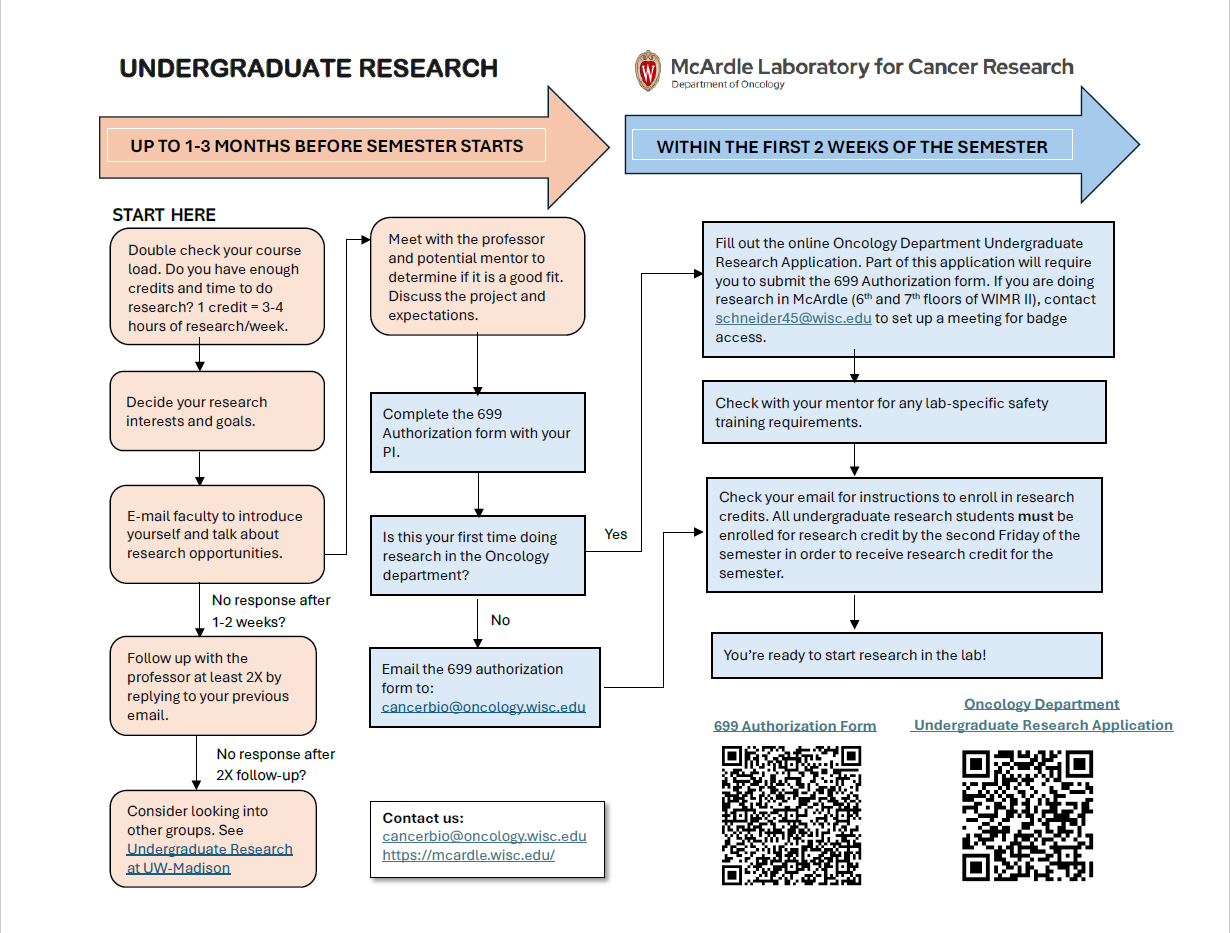 The image is a flowchart detailing the process for undergraduate research at the McArdle Laboratory for Cancer Research, part of the Department of Oncology. It features a white and blue color scheme, with various arrows guiding the viewer through specific steps of the process. The flowchart is divided into two main sections: activities to complete before the semester starts and actions to take within the first two weeks of the semester.
In the first section, labeled "UP TO 1-3 MONTHS BEFORE SEMESTER STARTS," the steps include checking course loads, determining research interests, emailing faculty, and completing a 699 Authorization form with a Principal Investigator (PI). Each step is connected with arrows to indicate the next action, and there are branching paths depending on whether it is the student’s first time doing research in the Oncology department.
The second section, "WITHIN THE FIRST 2 WEEKS OF THE SEMESTER," outlines subsequent necessary actions such as filling out the Oncology Department Undergraduate Research Application, checking for safety training requirements, and instructions on enrolling in research credits. The section concludes with a confirmation step indicating readiness to begin research in the lab.
At the bottom of the image, there are two QR codes providing links to the 699 Authorization form and the Undergraduate Research Application, along with contact information for the department.